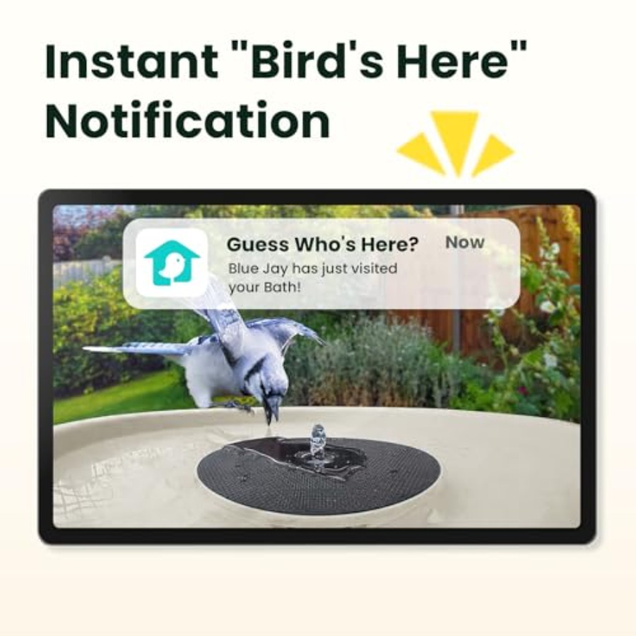 Bird Watching Smart Bird Bath  - Smartwatch I Watches ulasan dan harga