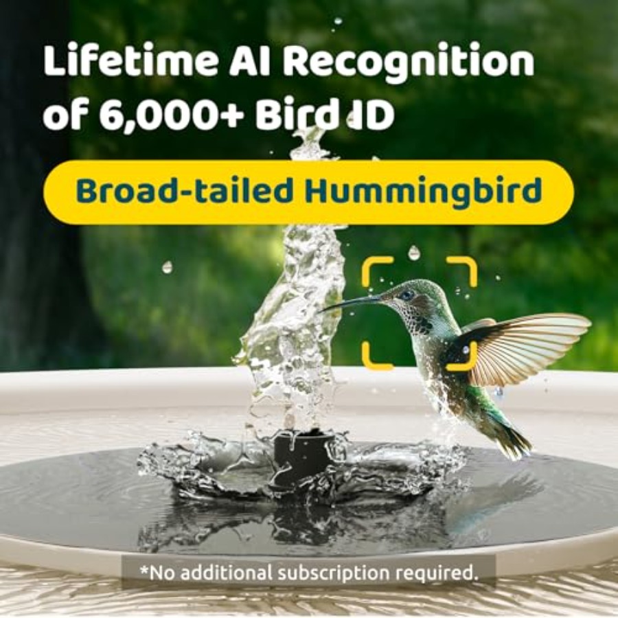 Bird Watching Smart Bird Bath  - Smartwatch I Watches ulasan dan harga